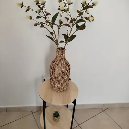 Ferienhaus ευχάριστο σπίτι στην χώρα κύθνου Kythnos